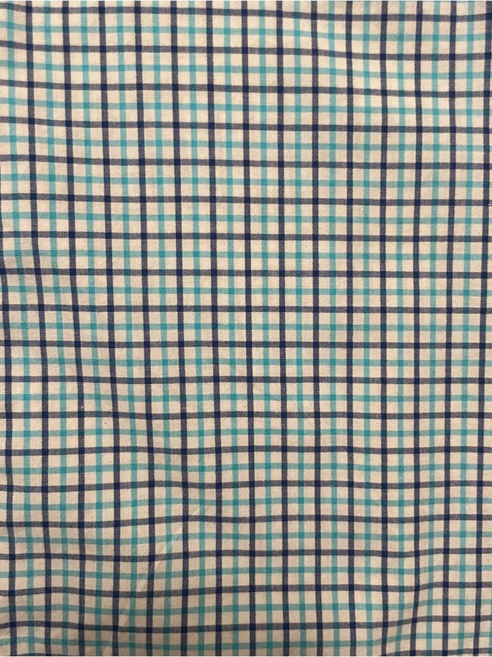 Polo by Ralph Lauren Green and Blue Check Button-Down Shirt